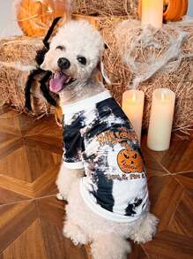 PETSIN Pet Halloween Pumpkin Spider 1 Piece - Multicolor - View 6