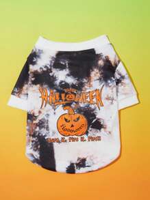 PETSIN Pet Halloween Pumpkin Spider 1 Piece - Multicolor - View 1