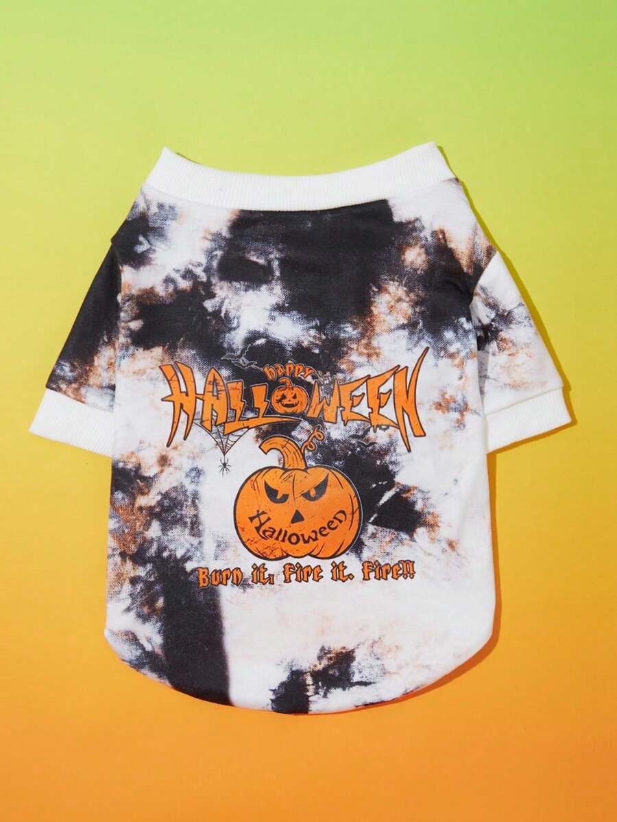 PETSIN Pet Halloween Pumpkin Spider 1 Piece - Multicolor - View 1