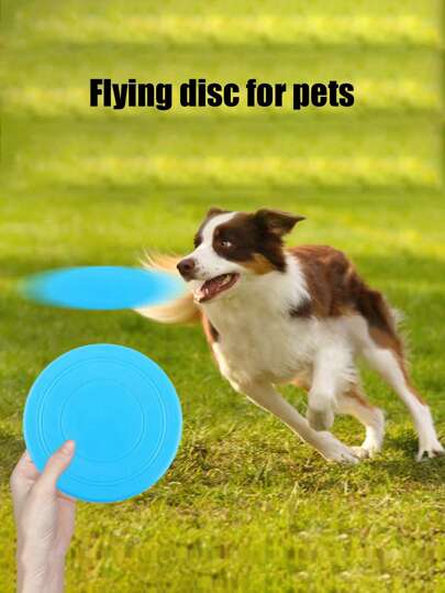 PETSIN Pet Interactive Training Toy, Suitable For Dogs, TPR Non-Tooth-Harming Throwing Training Toy, Pet Toy, Pet Supplies