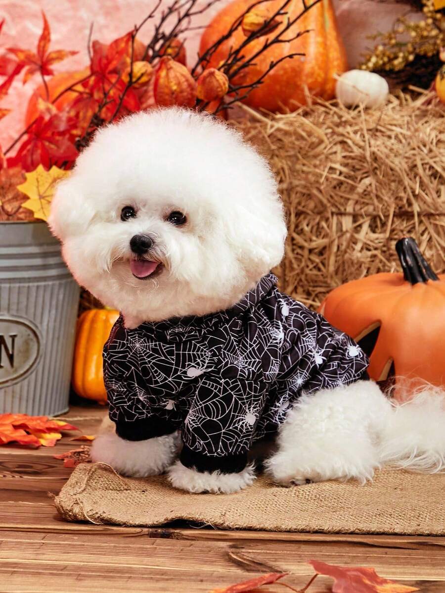 PETSIN 1pc Halloween Spider Pattern Pet Hoodie Sweatshirt - Multicolor - View 1