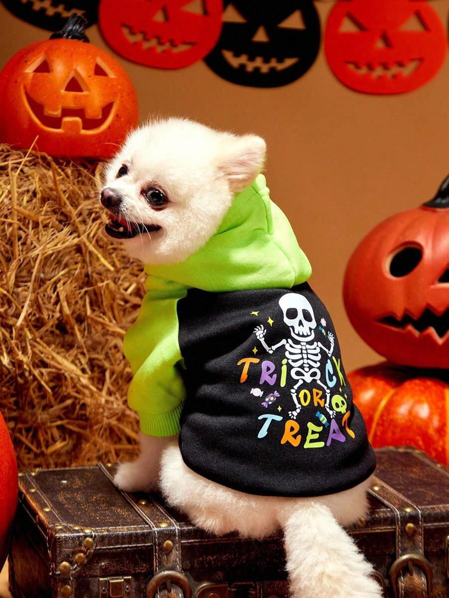 PETSIN 1pc Pet Halloween Colorblock Cute Skull & Letter Print Thermal Lined Hoodie Sweatshirt - Multicolor - View 1
