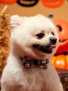 PETSIN 1pc Halloween Colorful Print Adorable Pet Bow Tie, Random Delivery For Cats & Dogs - Multicolor - View 3