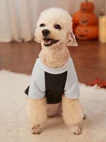 PETSIN 1 pieza Sudadera para mascotas con estampado de bloque de color y manga raglán de Halloween - Multicolor - Ver 3