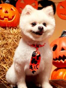 PETSIN 1pc Random Halloween Cat & Dog Printed Bow Tie For Pet