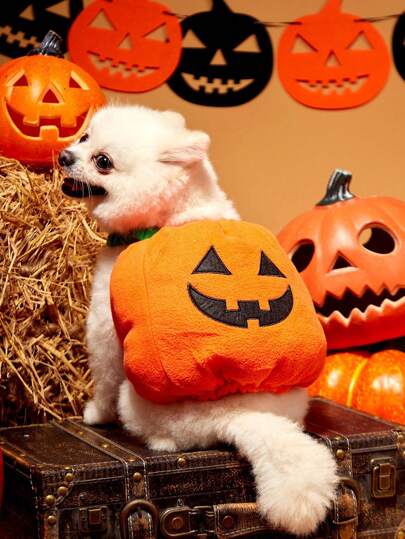 PETSIN 1 件装小型到中型犬万圣节搞笑猫咪南瓜服装宠物角色扮演服装