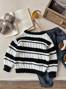 SHEIN 儿童/男童休闲日常百搭舒适黑白条纹圆领厚针织毛衣 - 彩色 - 查看 3