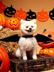 PETSIN 1pc Halloween Pet Bat Wing Costume - Black - View 4