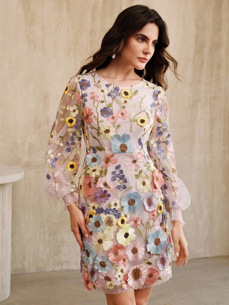 Elegant Round Neck Lantern Sleeve Dress With 3D Floral Embroidery And Mesh, Autumn
