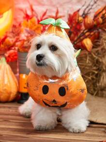PETSIN 1pc Halloween Pumpkin Pet Costume For Teddy - Orange - View 1