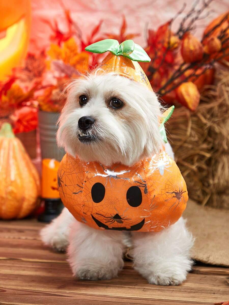 PETSIN 1pc Halloween Pumpkin Pet Costume For Teddy - Orange - View 1