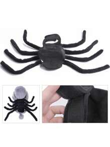 PETSIN 1 件宠物万圣节搞笑蜘蛛设计创意猫狗小狗服装 - 黑色 - 查看 2