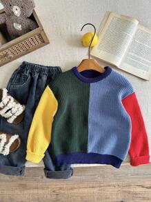 SHEIN Little Byeori 男童加厚提花针织毛衣，卡其色，休闲上衣，基础款，万圣节、复古、红色、黑色、圣诞节，适合春、夏、秋、冬，上学、花园、派对等场合 - 彩色 - 查看 4