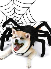 PETSIN 1 件宠物万圣节搞笑蜘蛛设计创意猫狗小狗服装 - 黑色 - 查看 1