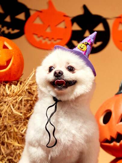 PETSIN 1 adet Cadılar Bayramı Örümcek Ağı Şapka Kafa Bandı, Evcil Hayvan Malzemeleri Köpek Kedi Balkabağı Yarasa Şapka Saç Aksesuarı