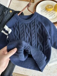 SHEIN 男童厚提花针织毛衣，卡其色，休闲上衣，基本款上衣，万圣节，复古，红色，男婴，黑色，万圣节服装，圣诞节，适合春季、夏季、秋季、冬季、学校、花园、派对 - 彩色 - 查看 5