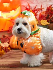 PETSIN 1pc Halloween Pumpkin Pet Costume For Teddy - Orange - View 3