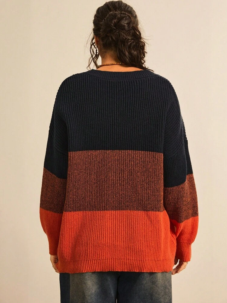Plus Color Block Drop Shoulder Sweater In Fall/Winter