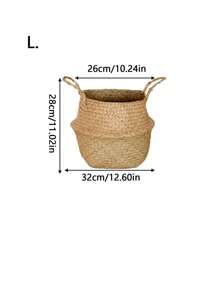 适合家庭、卧室、客厅装饰的盆栽植物花盆 - 米色 - 查看 10
