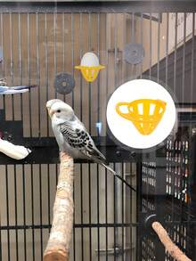 1/2/6PCS Bird Feeder For Parrot/Canary/Finch - Egg-Shaped Wire Cage Food Holder, Hanging Bird Food Dish For Budgies & Small Birds