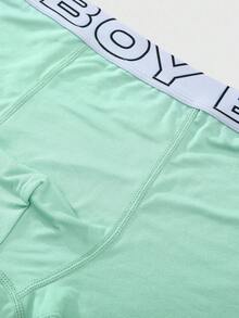 SHEIN 5条/包青少年男童平角内裤