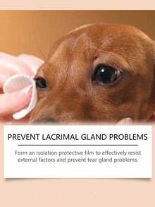 SHEIN 1件3件装宠物泪痕清洁膏温和清洁宠物猫狗泪痕护理眼部护理霜