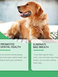 SHEIN 1pc 3pcs Pet Oral Care Water, Dog Teeth Cleaning Tartar Odor Care Lasting Fresh Care