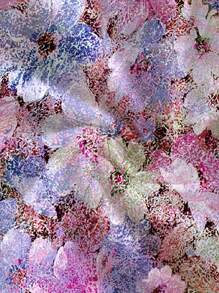 Soleia 休闲花卉印花短款女式上衣，适合夏季度假和海滩 - 紫色 - 查看 4