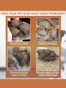 3pcs Paw Balm For Dogs & Cats | All-Season Protection Balm | Heals Dry, Cracked Paws & Nose - Multicolor - View 6