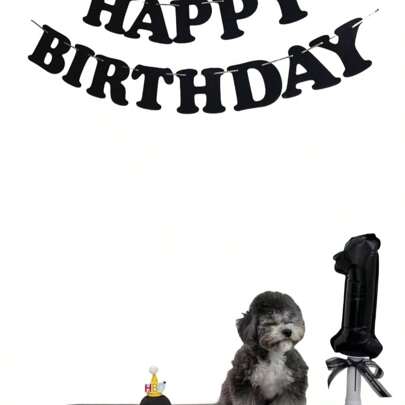 1개 재미있는 생일 파티 배너, 성인 여성, 독신녀, 테마 장식, 축하 용품, 파티 테마, 생일 파티 장식