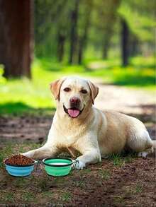 2pcs Portable Collapsible Dog Bowls With Lids - Travel-Friendly Food And Water Bowls With Lids