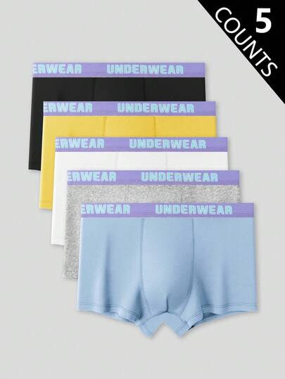 5条装 舒适休闲多色大男孩平角内裤