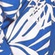 Blue and White