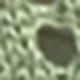 薄荷綠
