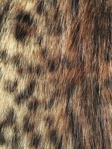 Siren Gaze 秋冬新款豹纹蓬松短款女外套 - 棕色 - 查看 12