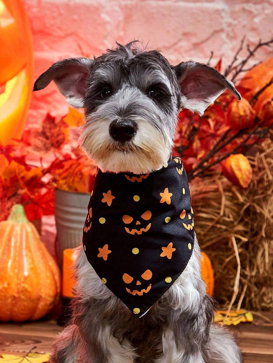 PETSIN Halloween Pet Bandana, Double-Sided Puppy Bibs, Pumpkin Print Cat & Dog Scarf - Multicolor - View 1