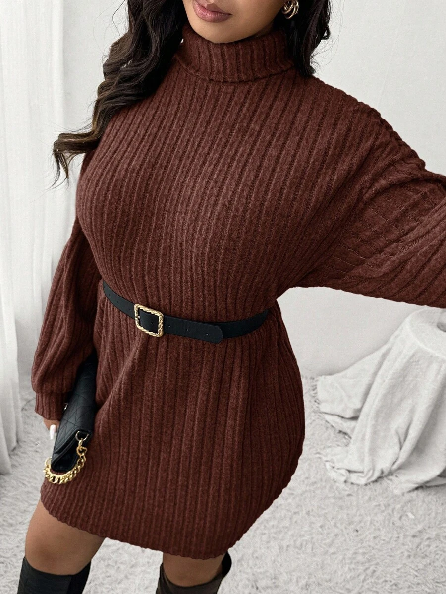 SHEIN Frenchy Casual Minimalist Turtleneck Ribbed Brushed Dress, Plus Size, Suitable For Leisure And Home, Autumn/Winter,Fall Clothes For Women - Coffee Brown - View 1
