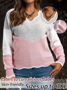EMERY ROSE Große Größen V-Ausschnitt Muschel Besatz Farbblock Lässiger Langarm Pullover Für Frauen V-Ausschnitt Pullover Farbblock Pullover Herbst, Winter, Rückkehr zur Schule, Lehrerin, Ausgehen Oberteile - Verschiedenfarbig - Übersicht 1