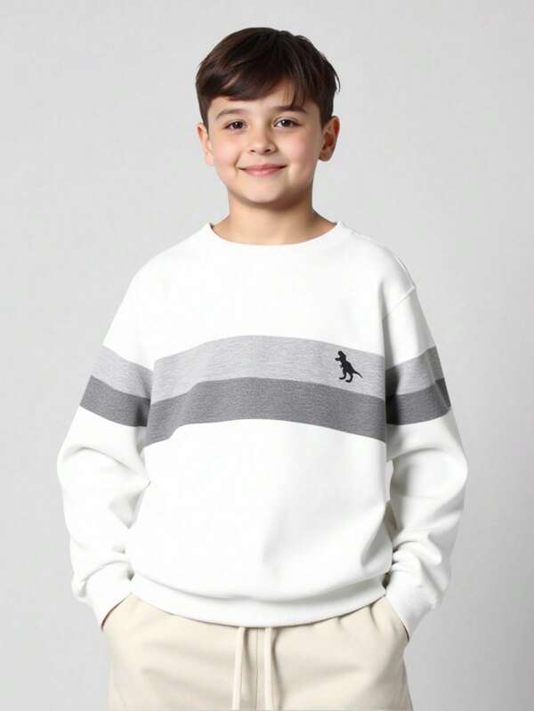 SHEIN Tween Boy Colorblock Dinosaur Print Sweatshirt,In Fall/Winter