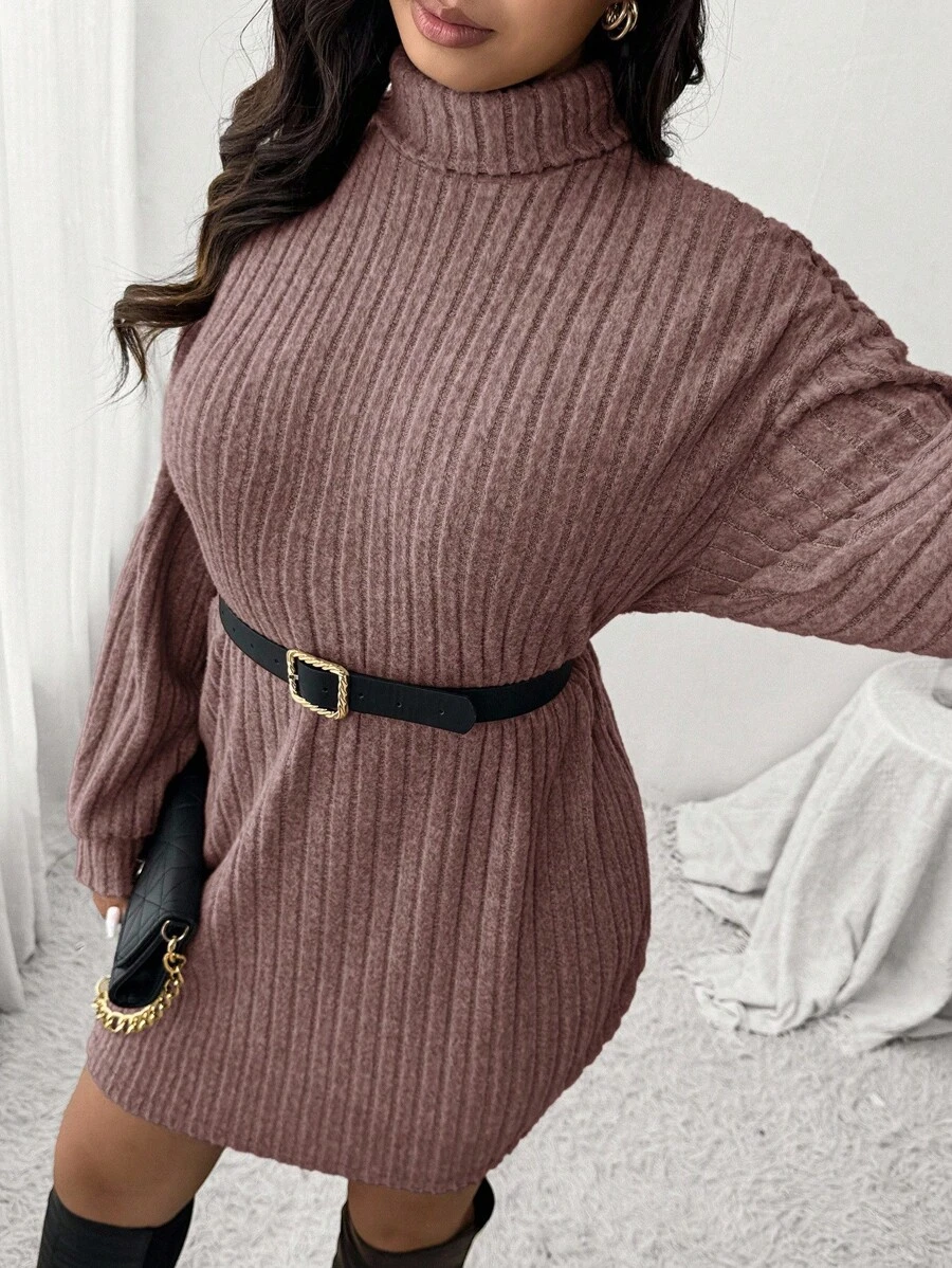 SHEIN Frenchy 休闲简约高领罗纹拉绒连衣裙,加大码,适合秋冬休闲居家穿着 - 粉色 - 查看 1