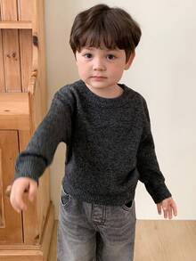 DAZY 幼儿男童圆领纯色韩版百搭长袖毛衣，春秋季 - 灰色 - 查看 1