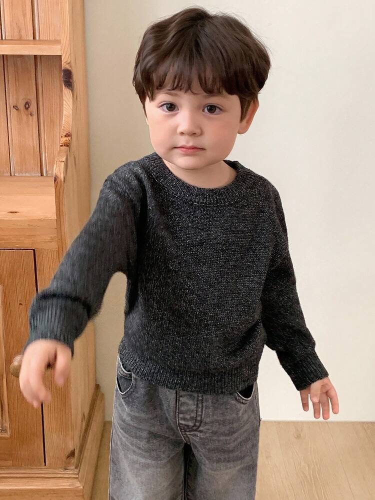 Toddler Boys' Crew Neck Solid Color Korean Style Versatile Long Sleeve Sweater, Spring/Autumn