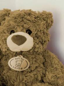 POKOJA LAND 1 件柔软毛绒泰迪熊填充动物棕色优质毛绒玩具情人节礼物生日礼物复活节礼物节日装饰家居装饰优质沙发泰迪熊温柔拥抱柔软可爱毛绒泰迪熊 Teezes 温暖礼物创意优质蓬松填充玩具卡哇伊泰迪熊舒适家居配件节日礼物浪漫礼物贴心礼物 - 彩色 - 查看 2