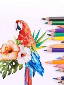 12/18/24/36/48色高品质彩色铅笔，适合学生和成人，日常绘画创作，可作为送给朋友或亲戚的礼物，适合儿童开学季 - 彩色鉛筆套裝 - 查看 5