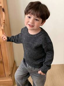 DAZY 幼儿男童圆领纯色韩版百搭长袖毛衣，春秋季 - 灰色 - 查看 4