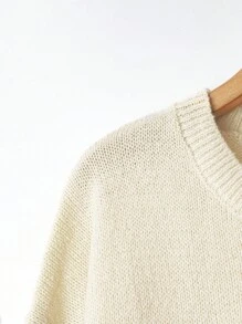 EMERY ROSE Plus Size Casual Crew Neck Long Sleeve Pullover Sweater Fall Winter Cloth For Women Autumn