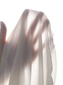 SHEIN 少女蝴蝶刺绣纯色休闲Polo衫，V领修身侧褶短袖露脐T恤 - 白色 - 查看 7