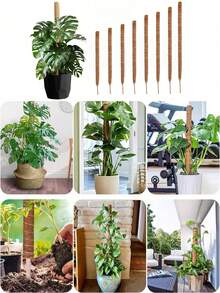 1/2 件 DIY 可弯曲植物支撑杆，柔性苔藓杆，自由形态攀爬藤蔓杆，用于支撑植物、怪异植物、攀缘植物、室内植物、花卉和盆栽植物（带桩和支架），春季装饰秋季装饰，圣诞节装饰万圣节装饰，返校客厅装饰墙面装饰，卧室窗帘