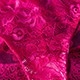 Rosa Fucsia