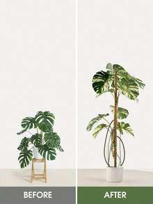 1/2 件 DIY 可弯曲植物支撑杆，柔性苔藓杆，自由形态攀爬藤蔓杆，用于支撑植物、怪异植物、攀缘植物、室内植物、花卉和盆栽植物（带桩和支架），春季装饰秋季装饰，圣诞节装饰万圣节装饰，返校客厅装饰墙面装饰，卧室窗帘